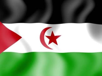 Western Sahara National Flag